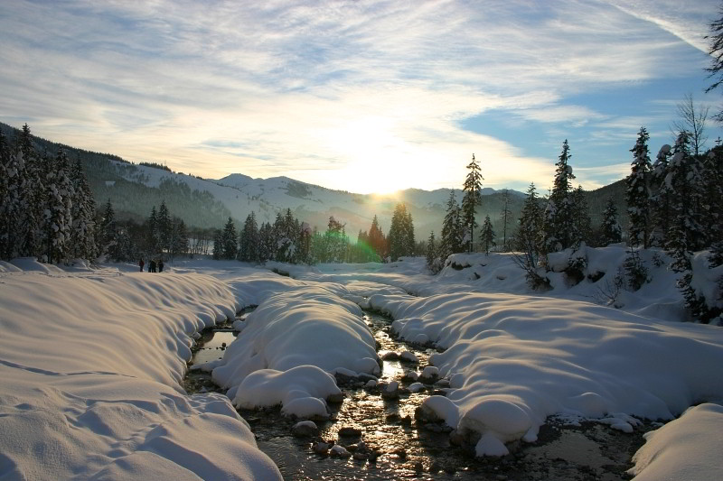 Winter